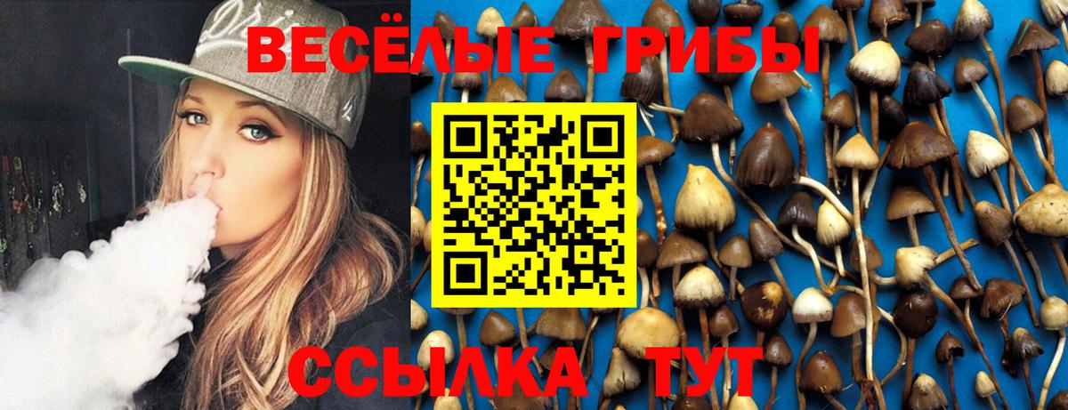 Псилоцибиновые грибы мухоморы Костомукша
