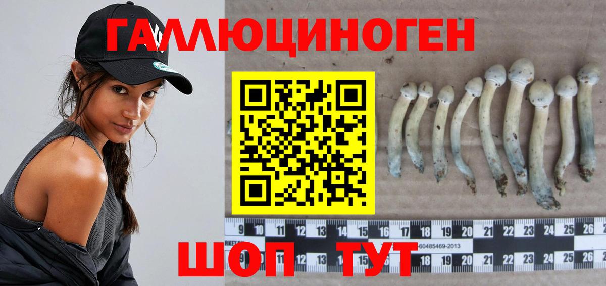 Костомукша  Галлюциногенные грибы мухоморы  Вход с VPN 